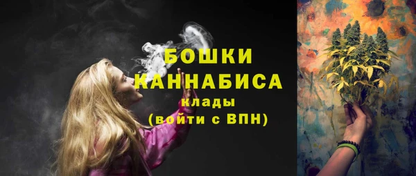 мдпв Карпинск