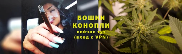 мдпв Карпинск