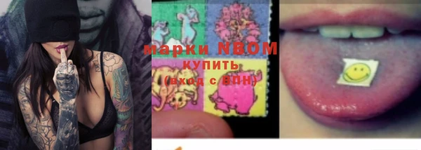 мдпв Карпинск