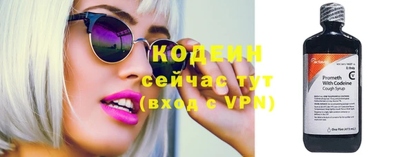 мдпв Карпинск