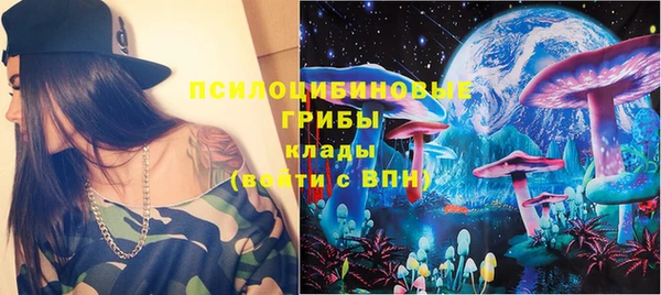 мдпв Карпинск
