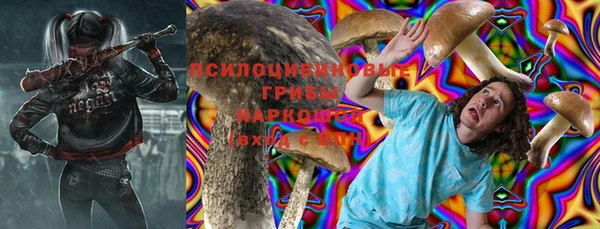 дживик Алагир