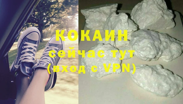 мдпв Карпинск