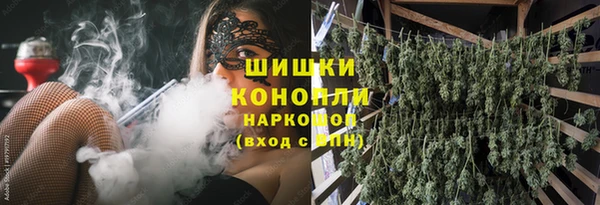 мдпв Карпинск