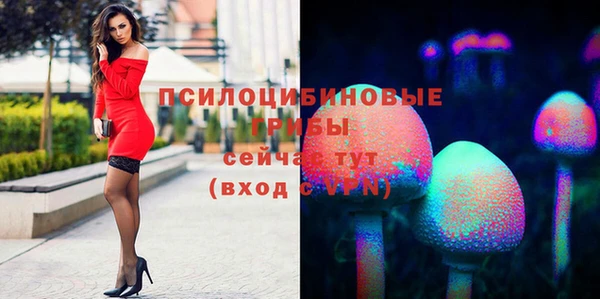 мдпв Карпинск