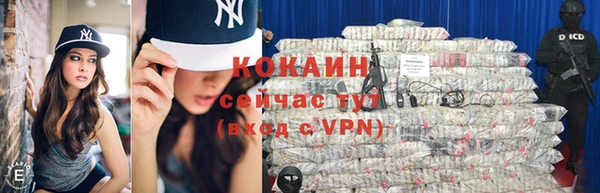мдпв Карпинск