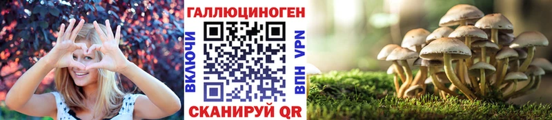 omg tor  как найти закладки  Каргополь  Псилоцибиновые грибы Psilocybine cubensis 